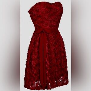 Rose dress! Beautiful!